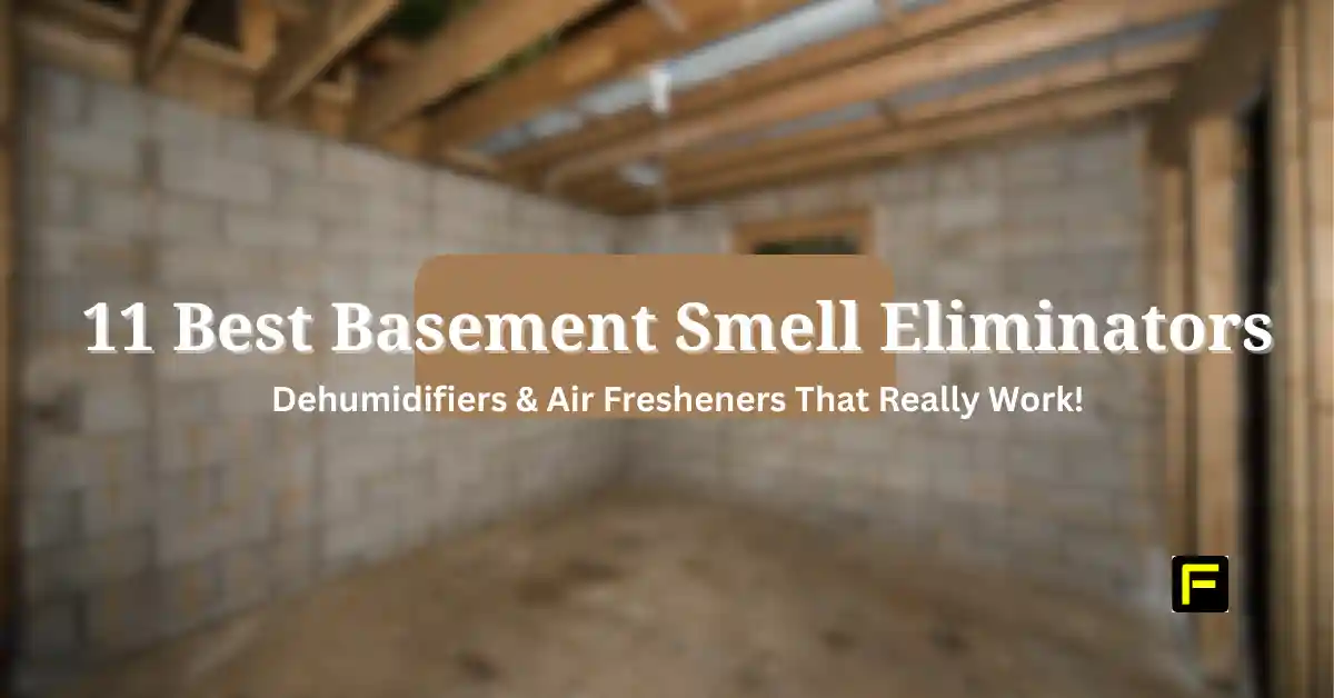 Home 22 Best Basement Smell Eliminators. Featured image.